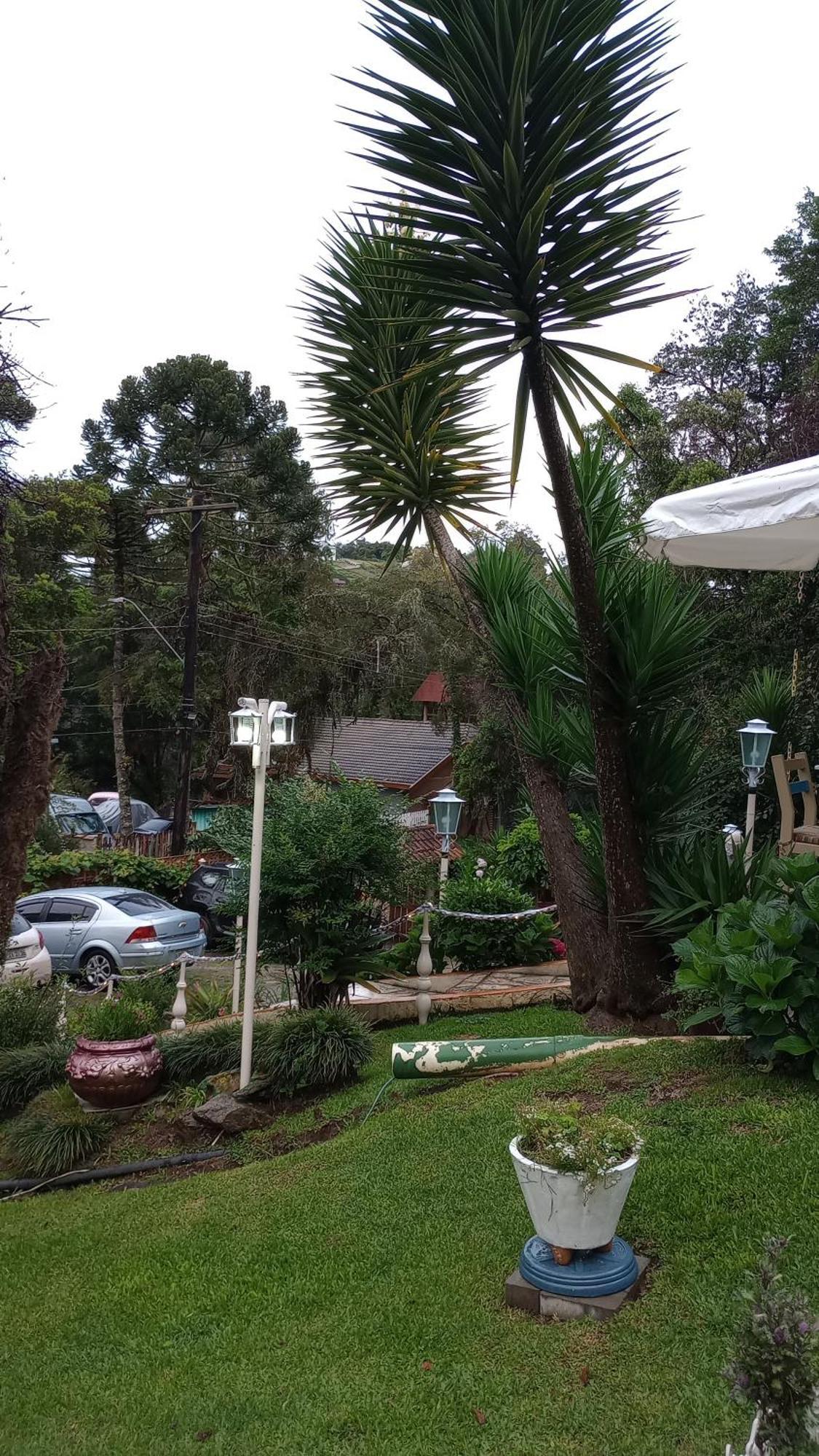 Rancho Da Raposa Hotel Campos do Jordao Ngoại thất bức ảnh